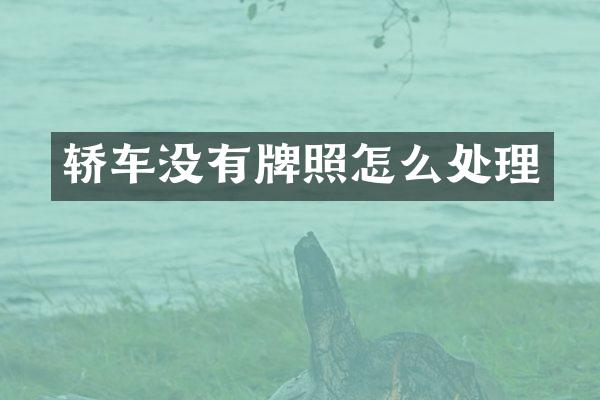 轿车没有牌照怎么处理