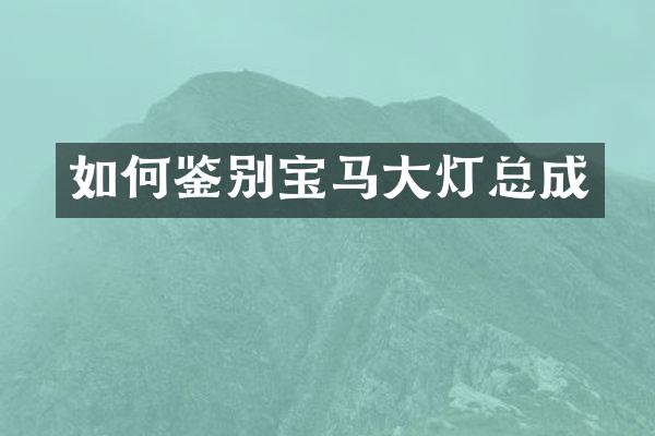 如何鉴别宝马大灯总成