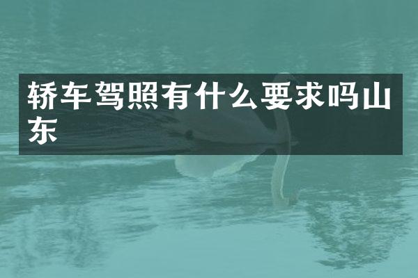 轿车驾照有什么要求吗山东