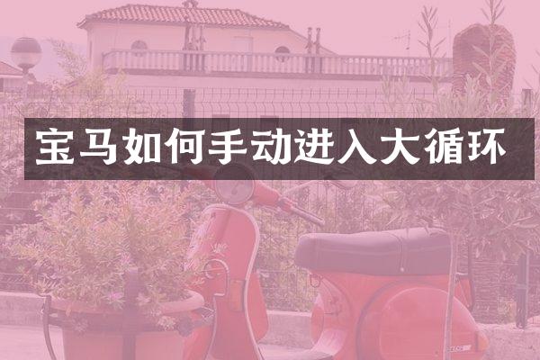 宝马如何手动进入大循环
