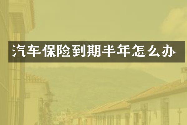 汽车保险到期半年怎么办