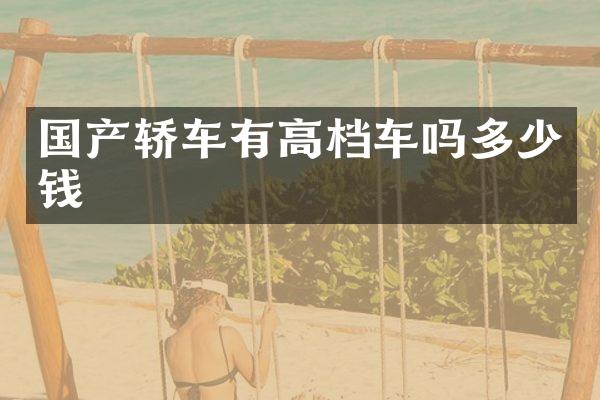 国产轿车有高档车吗多少钱