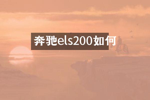 奔驰els200如何