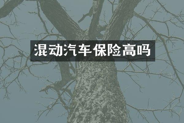混动汽车保险高吗