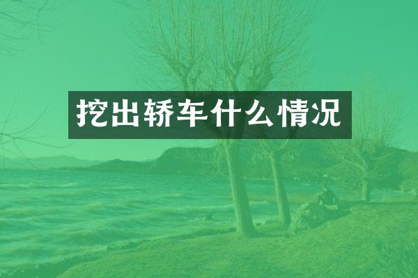 挖出轿车什么情况