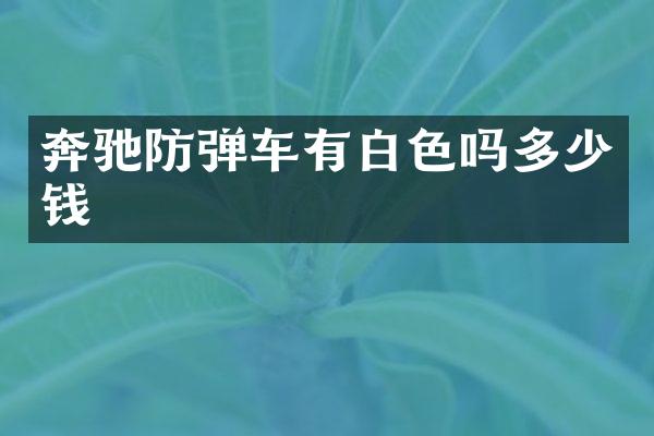奔驰车有白色吗多少钱