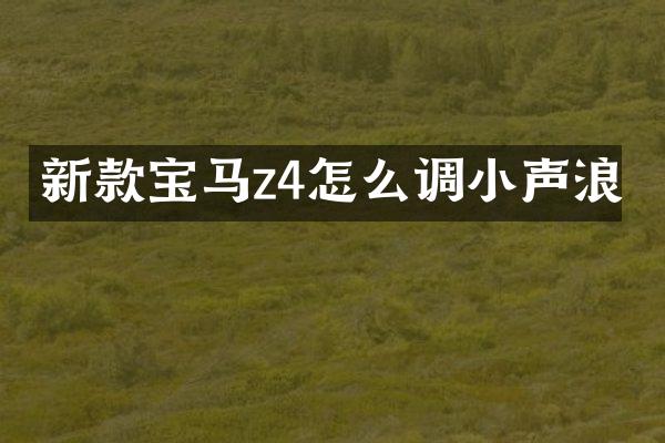 新款宝马z4怎么调小声浪