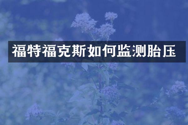 福特福克斯如何监测胎压