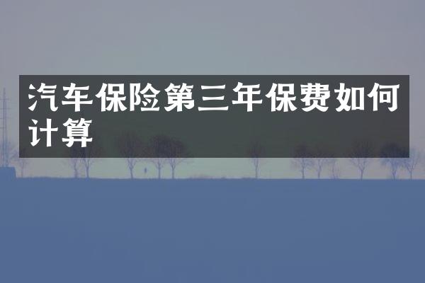 汽车保险第三年保费如何计算