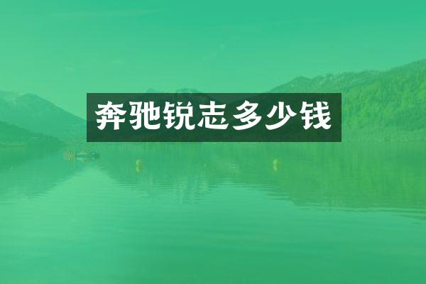 奔驰锐志多少钱