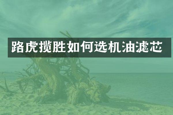 路虎揽胜如何选机油滤芯