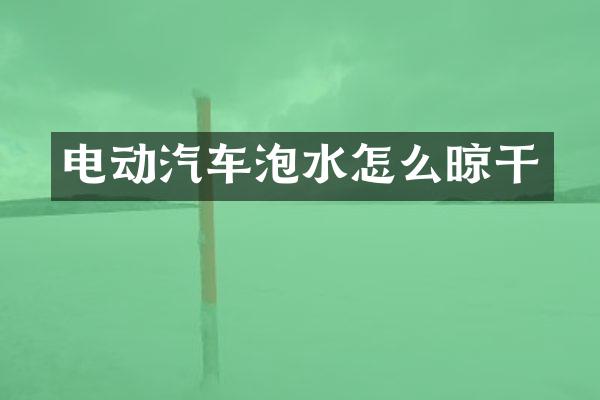 电动汽车泡水怎么晾干