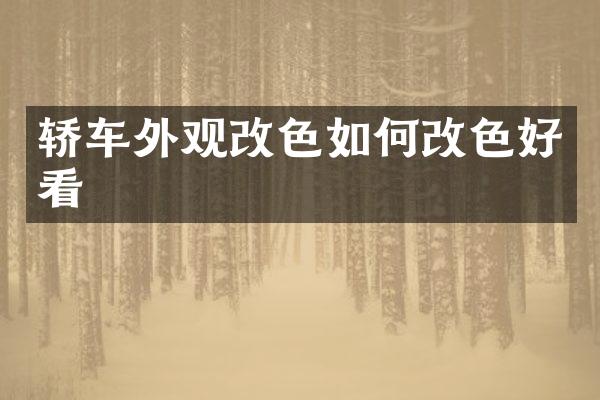 轿车外观改色如何改色好看