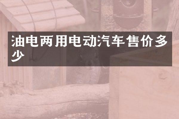 油电两用电动汽车售价多少