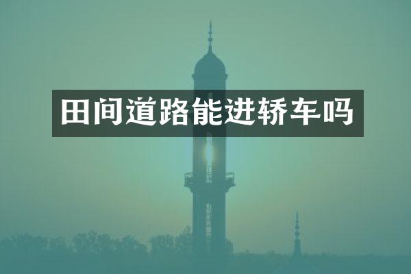 田间道路能进轿车吗