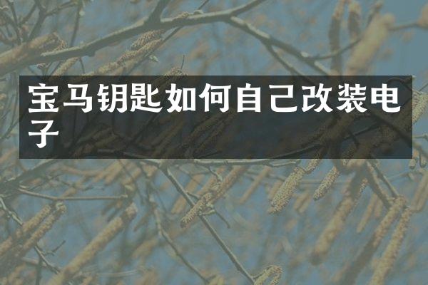 宝马钥匙如何自己改装电子
