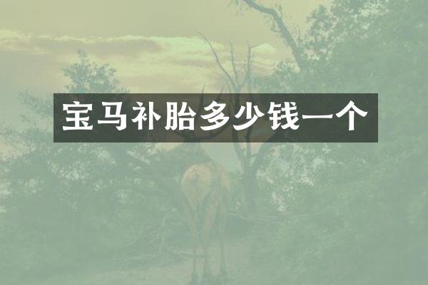 宝马补胎多少钱一个