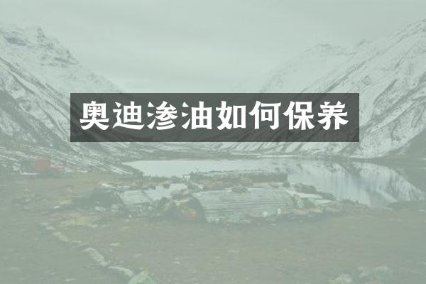 奥迪渗油如何保养