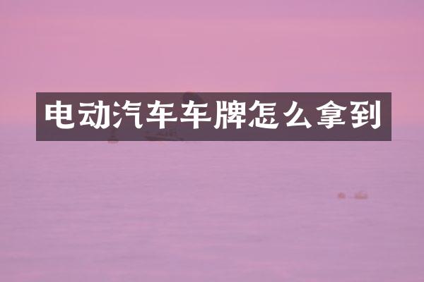 电动汽车车牌怎么拿到
