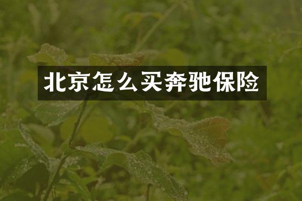 北京怎么买奔驰保险