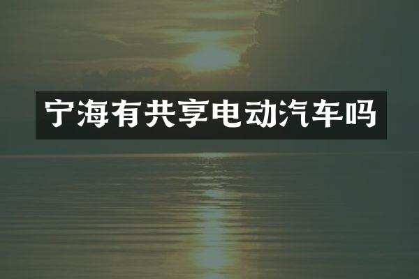 宁海有共享电动汽车吗