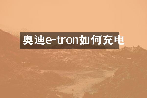 奥迪e-tron如何充电