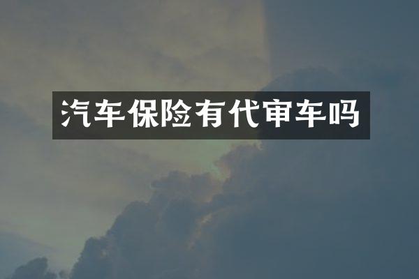 汽车保险有代审车吗