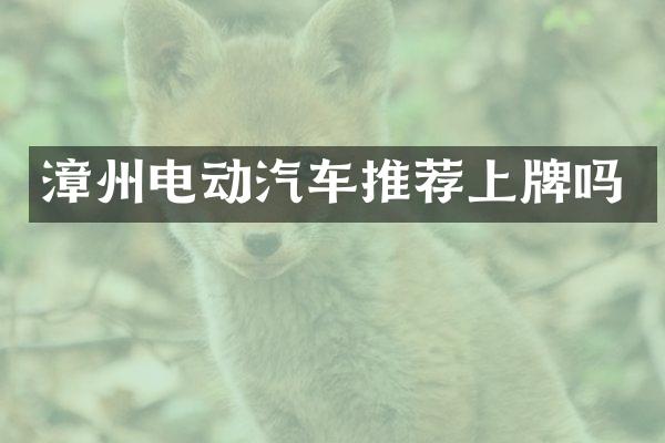 漳州电动汽车推荐上牌吗