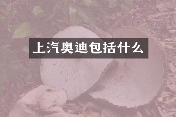 上汽奥迪包括什么