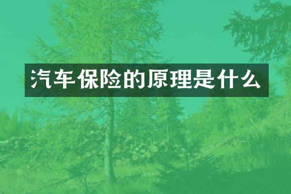 汽车保险的原理是什么