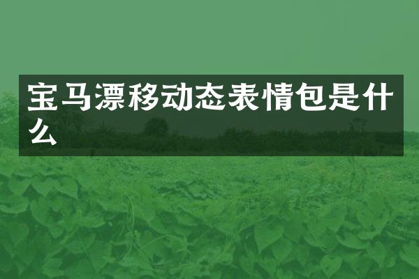 宝马漂移动态表情包是什么