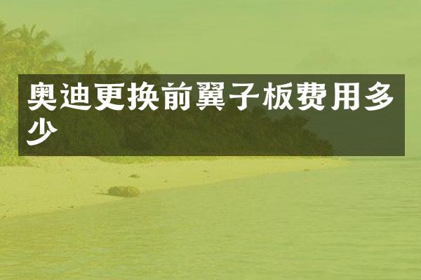 奥迪更换前翼子板费用多少