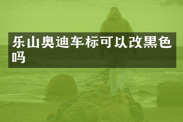 乐山奥迪车标可以改黑色吗