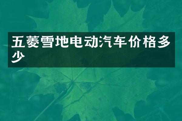 五菱雪地电动汽车价格多少