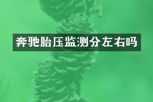奔驰胎压监测分左右吗