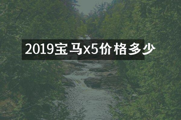 2019宝马x5价格多少