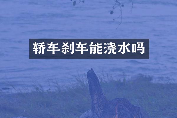 轿车刹车能浇水吗