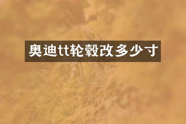 奥迪tt轮毂改多少寸