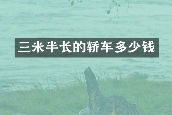 三米半长的轿车多少钱