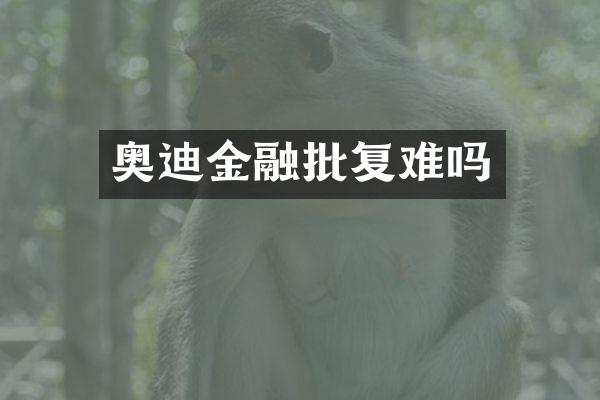 奥迪金融批复难吗