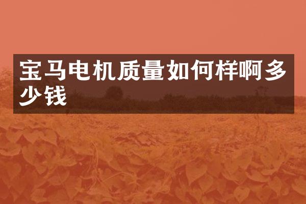 宝马电机质量如何样啊多少钱