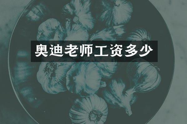 奥迪老师工资多少