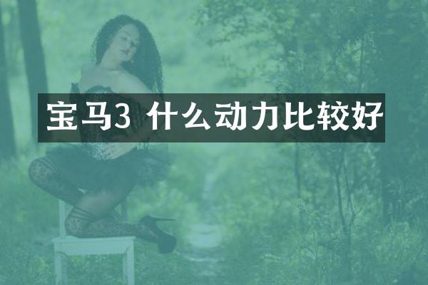宝马3 什么动力比较好