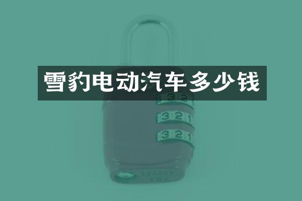 雪豹电动汽车多少钱