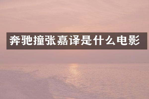 奔驰撞张嘉译是什么电影