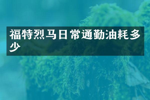 福特烈马日常通勤油耗多少