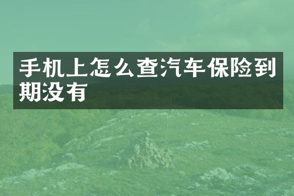手机上怎么查汽车保险到期没有