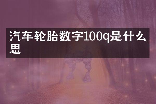 汽车轮胎数字100q是什么意思