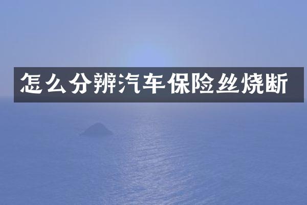 怎么分辨汽车保险丝烧断
