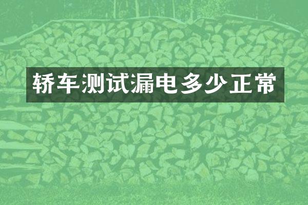 轿车测试漏电多少正常